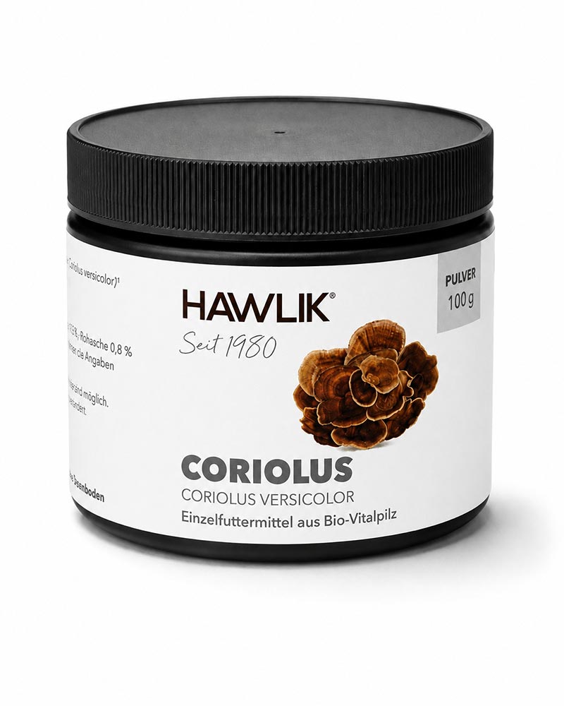 Schwarze Dose Hawlik Coriolus mit weißem Etikett, braunem HAWLIK-Schriftzug, dunkelgrauem CORIOLUS-Schriftzug, braunem Vitalpilzmotiv und Hinweis „Pulver 100 g“