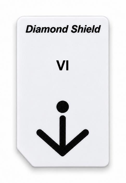 Frequenz-Chipcard VI für Diamond Shield Zapper