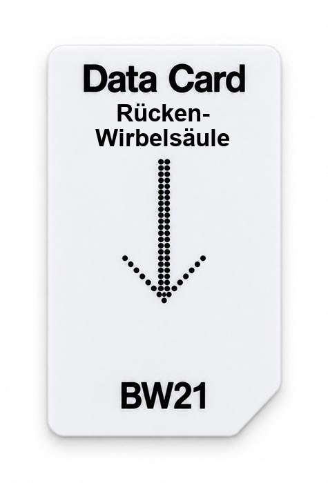 Frequenz-Chipcard Rücken-Wirbelsäule für BW21 Zapper