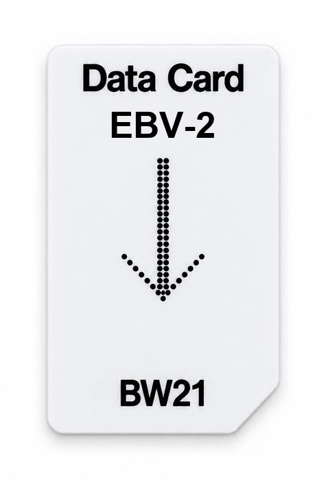 Frequenz-Chipcard EBV-2 für BW21 Zapper