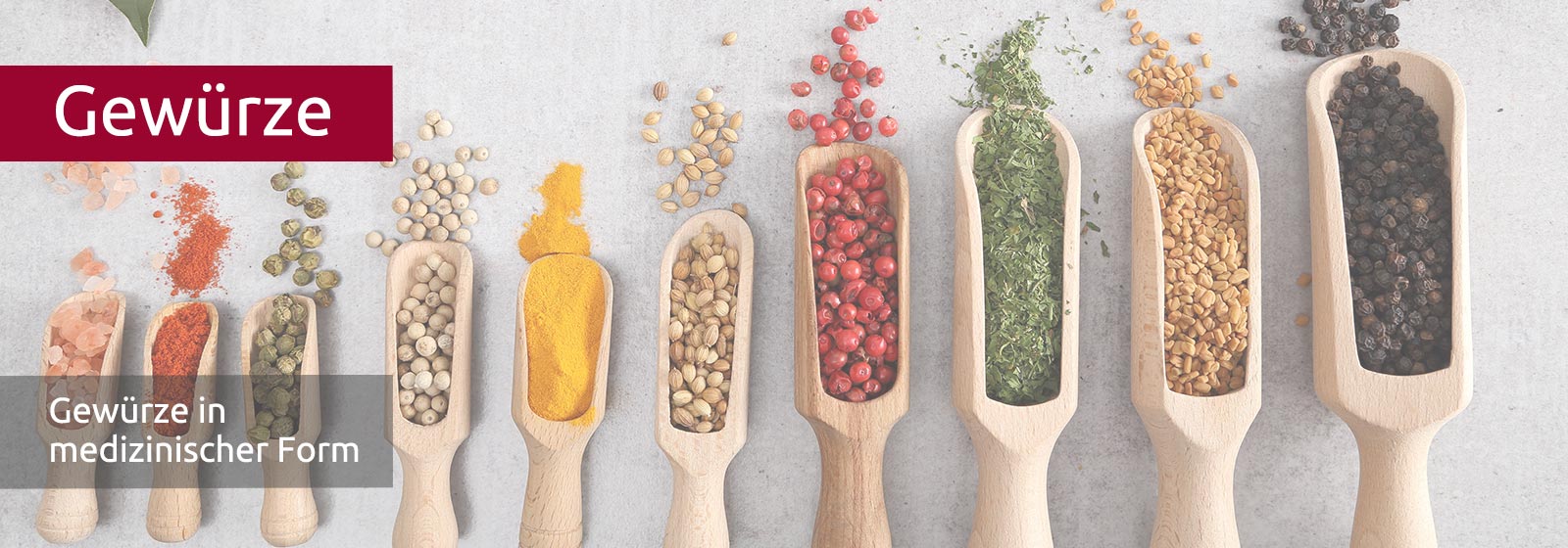 Zehn längliche Holzlöffel nebeneinander - jeder mit einem anderen Gewürz gefüllt