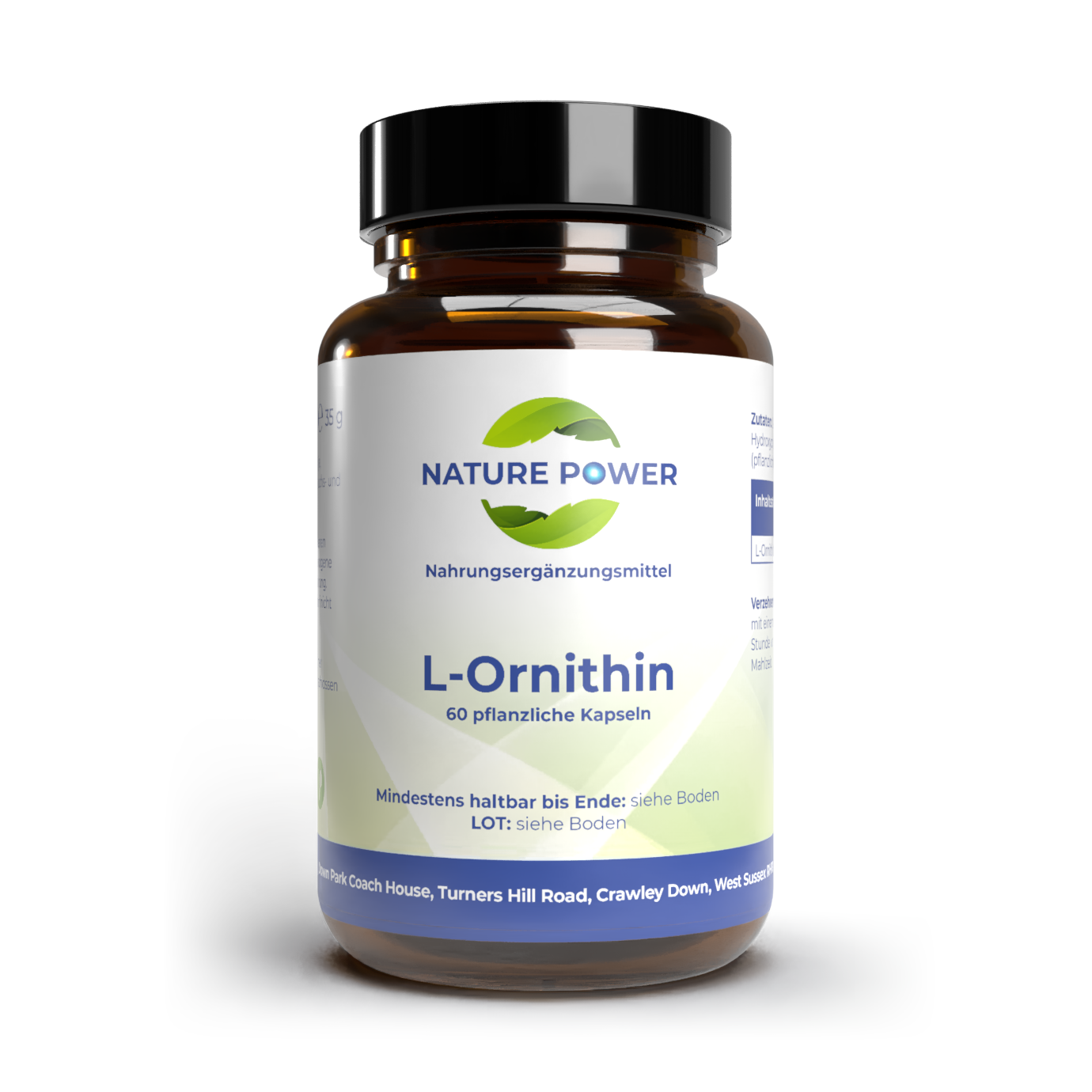 Vor weissem Hintergrund eine braune Weithals-Glasflasche mit weiss-blau-grünem Etikett, auf dem steht L-Ornithin