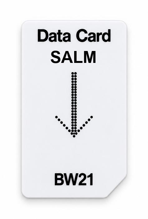 Frequenz-Chipcard SALM für BW21 Zapper