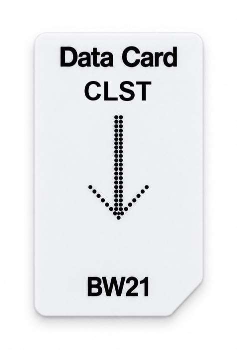 Frequenz-Chipcard CLST für BW21 Zapper