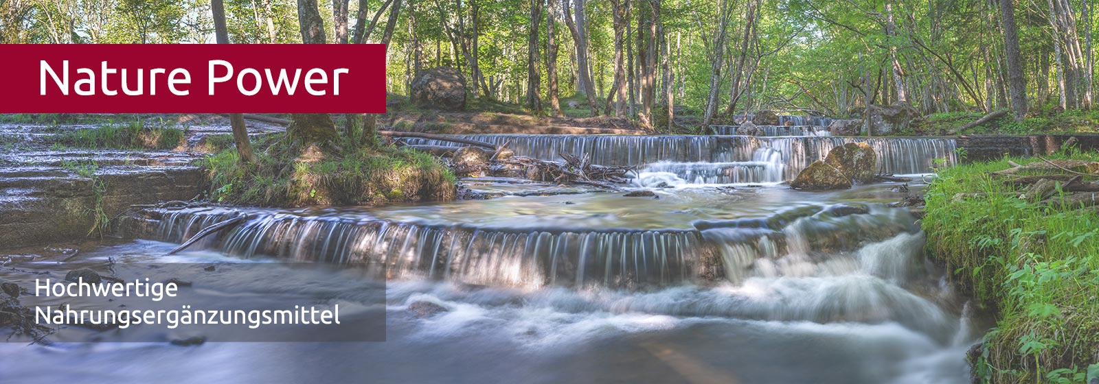 Ein Fluss fliesst durch einen Wald, es bilden sich einige Stufen und kleine Wasserfälle