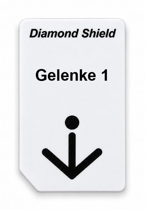Frequenz-Chipcard Gelenke 1 für Diamond Shield Zapper