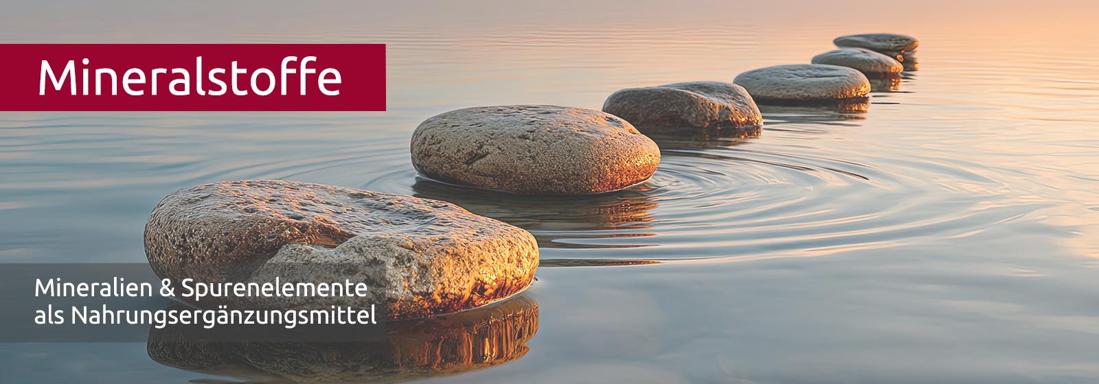 Sechs grosse, flache Steine, die nach hinten kleiner werden, auf einer spiegelnden Wasseroberfläche