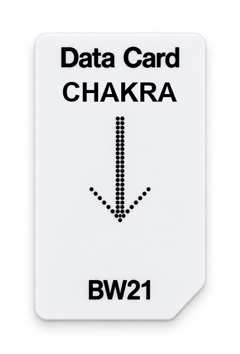 Frequenz-Chipcard CHAKRA für BW21 Zapper