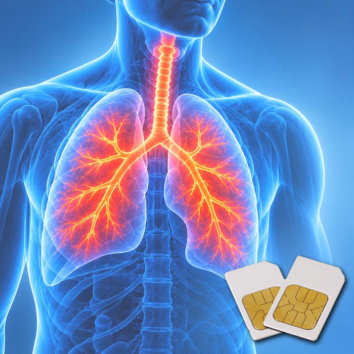 Blaue anatomische Darstellung von Lunge und Bronchien mit orange hervorgehobenen Bronchien – TCM-AK4 Frequenz-Chipcard für Diamond Shield