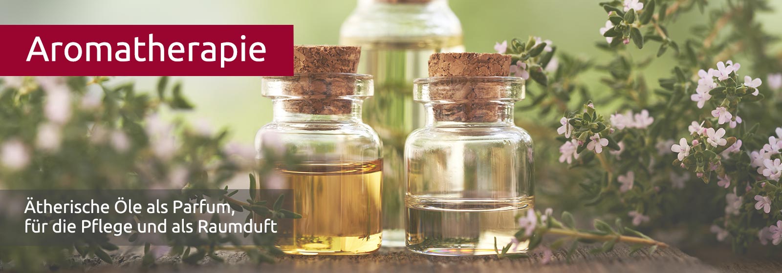 Links und rechts zartviolett blühender Oregano, in der Mitte drei breite Glasfläschchen mit Korkverschlüssen und Öl enthaltend