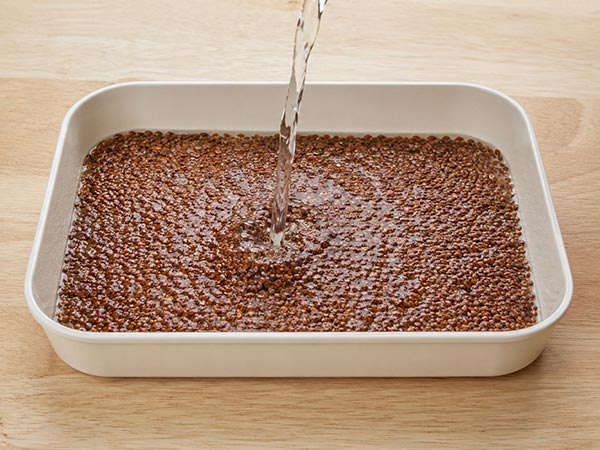 Sauerstoffwasser für Keime und Sprossen, hergestellt mit stabilisiertem Sauerstoff Auf einem Holztisch steht eine rechteckige, weiße Schale, in der braune Samen liegen, auf die Wasser gegossen wird