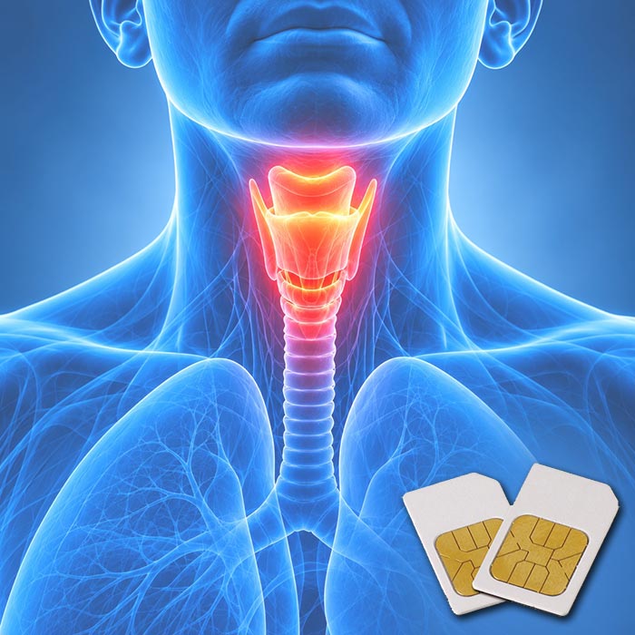 Blaue anatomische Darstellung des Halses mit rot-orange hervorgehobenem Kehlkopf – TCM-AK7 Frequenz-Chipcard für Diamond Shield