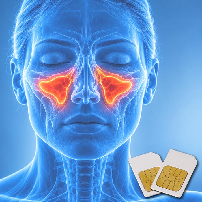 Blaue anatomische Frontansicht des Gesichts mit orange hervorgehobenen Kieferhöhlen – TCM-AK10 Frequenz-Chipcard für Diamond Shield