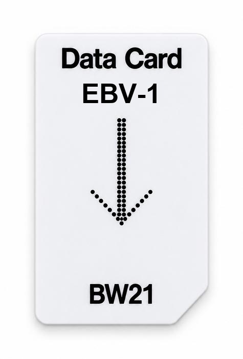 Frequenz-Chipcard EBV-1 für BW21 Zapper