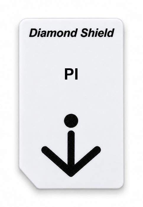 Frequenz-Chipcard PI für Diamond Shield Zapper