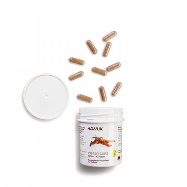 Vorschau: Vitalpilz Cordyceps - 60 Vorschau: Eine weisse Kunststoff-Dose mit der Aufschrift Hawlik Cordyceps- 60 Vitalpilz Extrakt-Kapseln