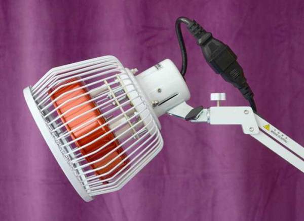 Vorschau: Der Kopf der TDP-Lampe Vorschau: Der Kopf der TDP-Lampe TD5P kann in alle Richtungen gedreht und gebogen werden