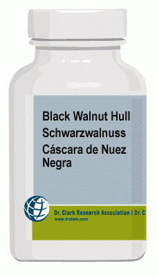 Schwarzwalnuss-Kapseln für Parasitenkur nach Dr. Hulda Clark