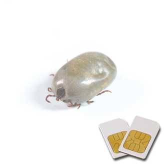 Chipkarte BO für Zapper Biowave nach Hulda Clark Chipkarte BO für Zapper Biowave nach Hulda Clark