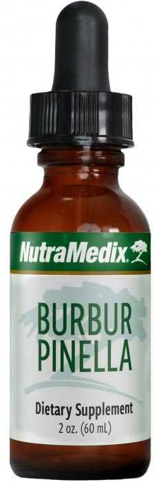 Schlanke Flasche mit Nutramedix Burbur und Pinella Tropfen 60ml zur Stärkung der Entgiftungsorgane