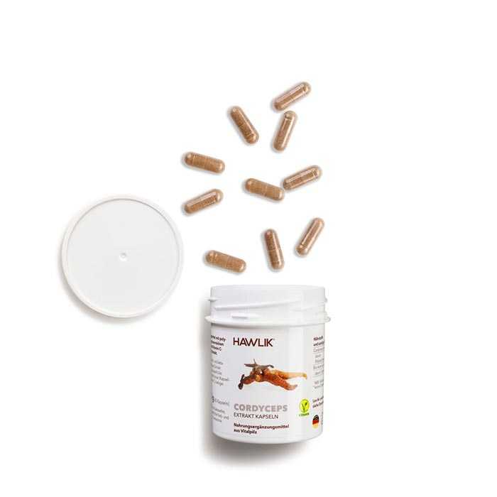 Vorschau: Vitalpilz Cordyceps - 60 Vorschau: Eine weisse Kunststoff-Dose mit der Aufschrift Hawlik Cordyceps- 60 Vitalpilz Extrakt-Kapseln