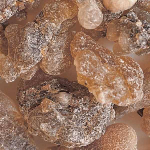Vorschau: Amberfarbener Weihrauch Vorschau: Amberfarbener Weihrauch