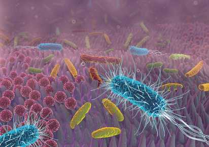 Farbige Abbildung der menschlichen Darmflora mit Parasitenbefall
