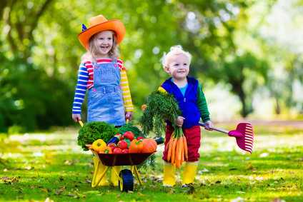 Zwei süsse Kinder im Grünen schieben eine kleine Schubkarre voller leckerem Gemüse