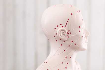 Kopf einer Akupunkturpuppe mit Meridianen und roten Akupunkturpunkten