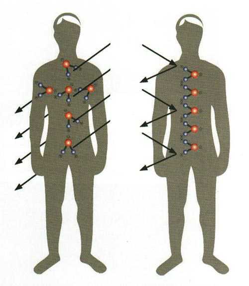 Man sieht zwei Menschen nebeneinander als Grafik. Durch den linken gehen Strahlen ungehindert durch, beim rechten wird der Elektrosmog durch die Haut abgeschirmt