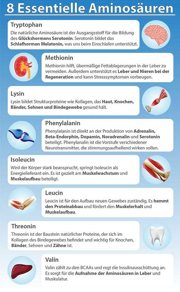 SanaAmino enthält acht essentielle Aminosäuren nach der Formel von Luca Moretti essentielle-aminosaeuren
